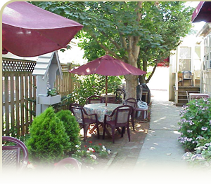 Patio at Antoinette's Guesthouse in Cape May, NJ