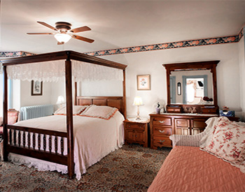 White bed with wooden canopy and white lace canopy cover in a bedroom with a multicolored beige based rug. A small pink daybed is on the right side. There is a brown dresser and mirror to the right of the canopy bed.